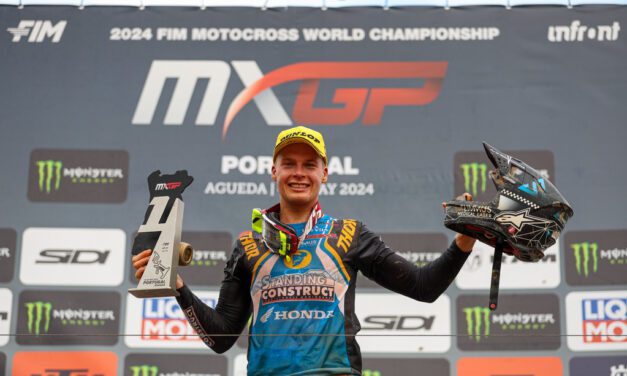 PURE JOY FOR JONASS AND EVERTS