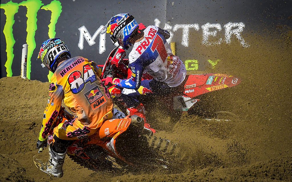 Herlings King of The Sand Once Again