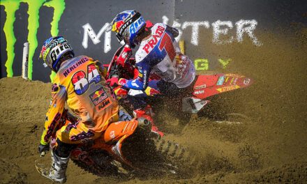 Herlings King of The Sand Once Again