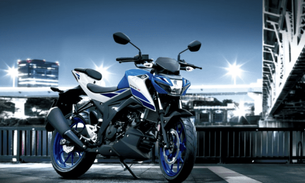 New colour scheme for Suzuki GSX-S125